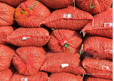 Borsa di verdure della maglia di Antivari del doppio ago che tricotta la macchina a macchina di fabbricazione netta dell'aglio