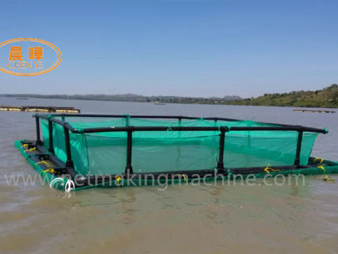 Ultime notizie aziendali su Stato e prospettiva di tecnologia della cultura della gabbia del mare profondo?