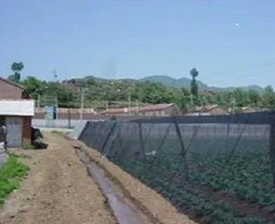Ultime notizie aziendali su Modulo di copertura della serra