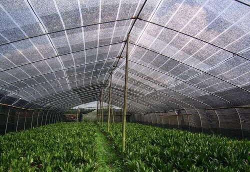 Ultime notizie aziendali su La domanda globale di macchine per maglieria Raschel aumenta con l'espansione dei mercati delle reti ombreggianti e agricole