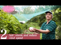 Controllo automatizzato macchina fabbricante netto verde netto dell'insetto anti-