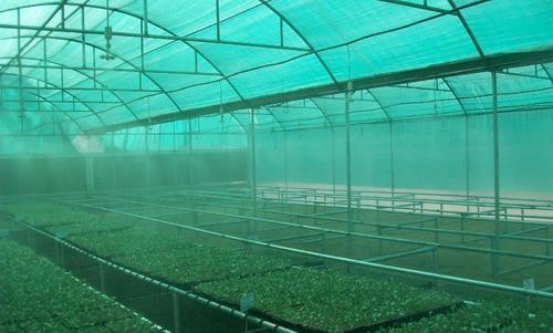 Macchina per l'ombra a doppio ago Macchina per l'ombra a doppio ago Macchina per l'ombra a doppio ago DRCA Tipo di materiale vergine HDPE Sunshine Green Shading Net Making Machine