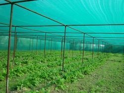 Produttori di reti a ombra verde ad alta produttività in HDPE