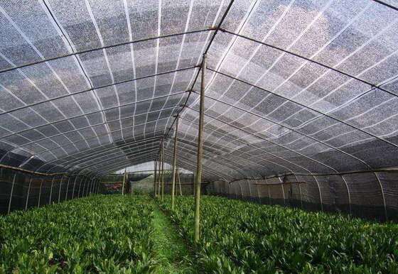Modelli popolari di macchine da maglieria a curvatura per reti agricole e industriali