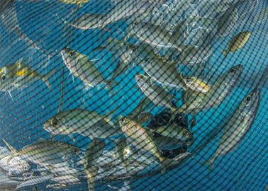 Macchina di fabbricazione netta del pesce dell'oceano profondo, macchina rotonda della rete dell'ombra del filato